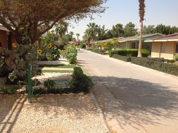 A residential street inside the compound
